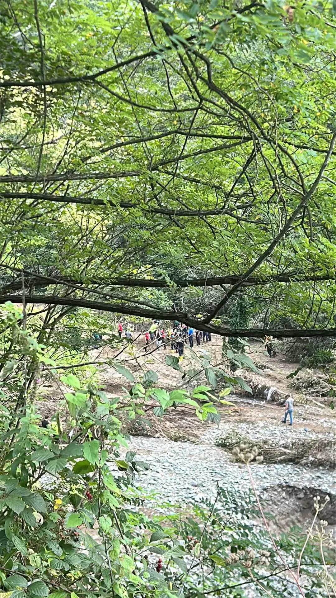 Yeğenin cansız bedenine ulaşıldı, dayının arama çalışmaları devam ediyor - Fotoğraf Galerisi 1