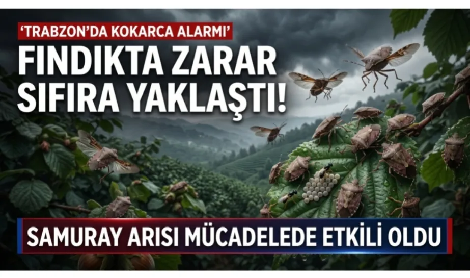 İsa Kaplan ve ekibinin "Büyük Başarısı"
